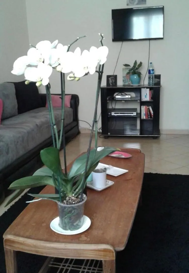 Air-Conditioned Apartment Agadir Residence Fal Oumlil